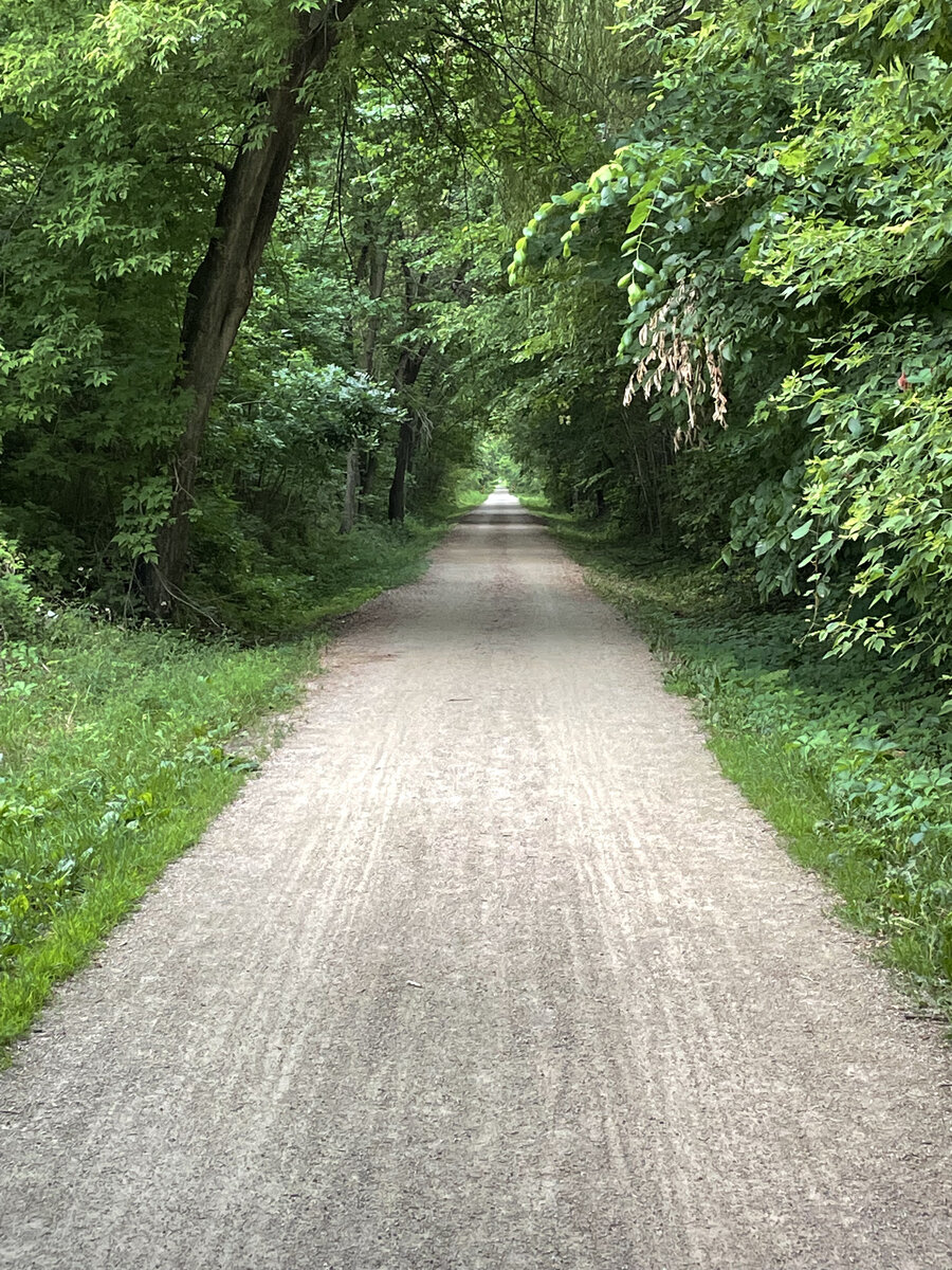 A gravel path on the LRT trail near Riley Lake Park, shaded by a canopy of trees